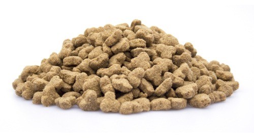 Brokken   006   adult senior light 0