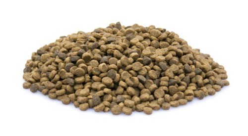 Brokken   155   super premium puppy