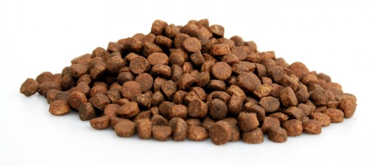 Brokken   premium kat graanvrij zalm