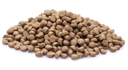 Brokken   premium kat senior