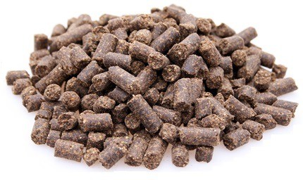 Brokken   super premium excellent active